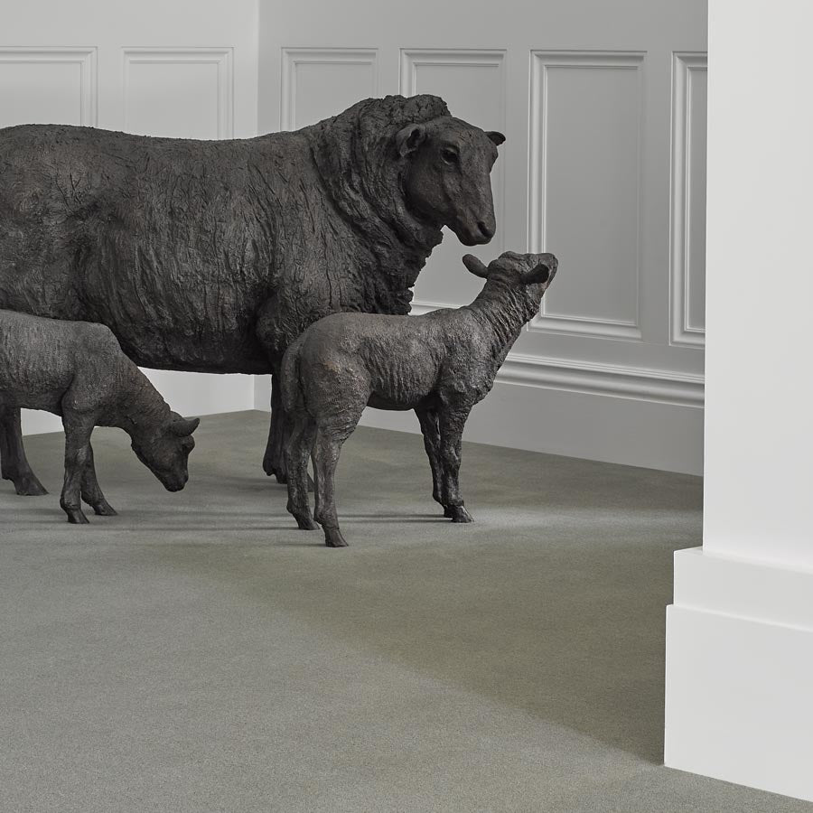 100% wool velvet carpet luton london