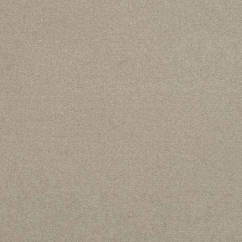 Victoria Velvet Impressions Carpet
