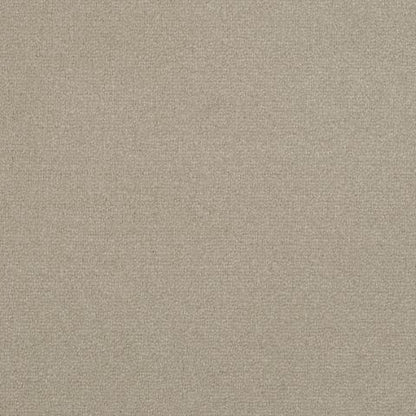 Victoria Velvet Impressions Carpet