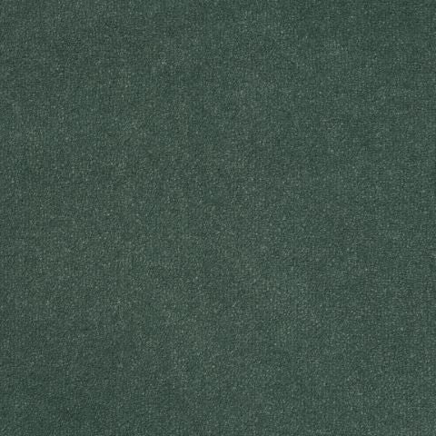 Victoria Velvet Impressions Carpet