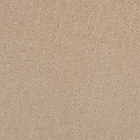 Victoria Velvet Impressions Carpet