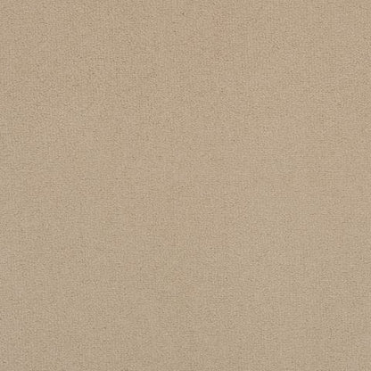 Victoria Velvet Impressions Carpet