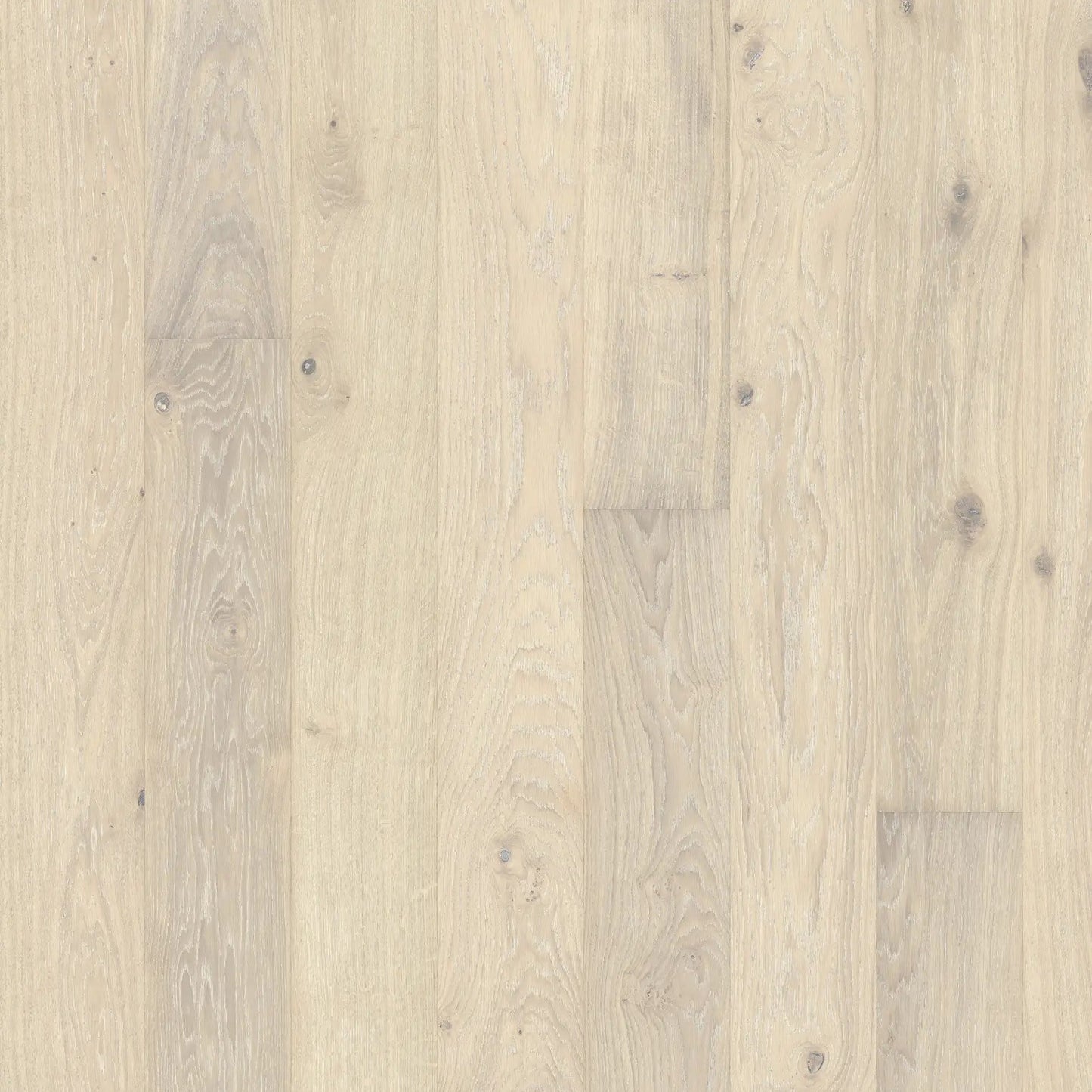 OAK NOUVEAU BLONDE