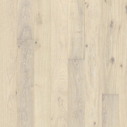 OAK NOUVEAU BLONDE