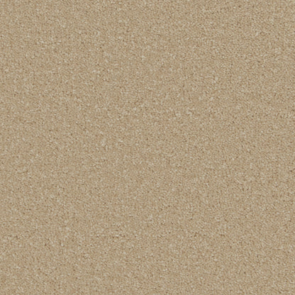 Cormar Sensation Carpet