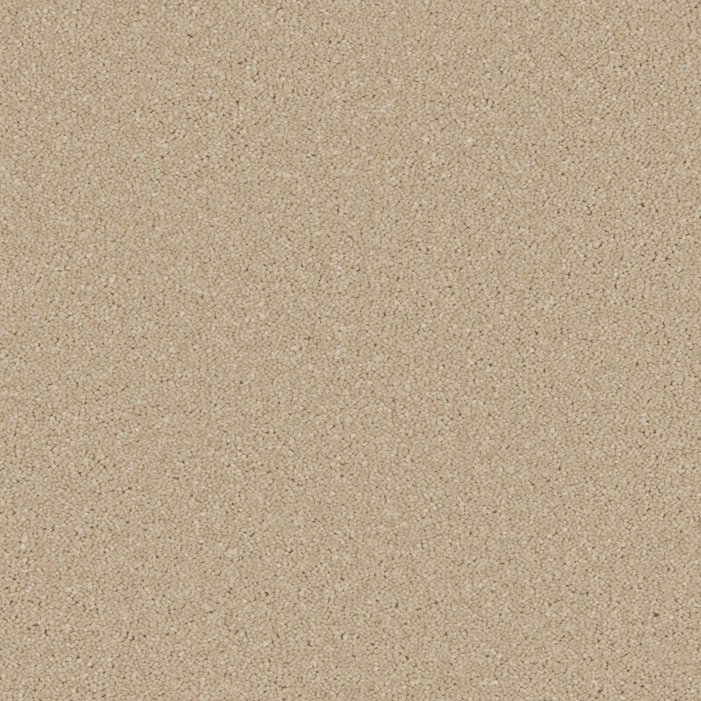 Cormar Zenith Carpet