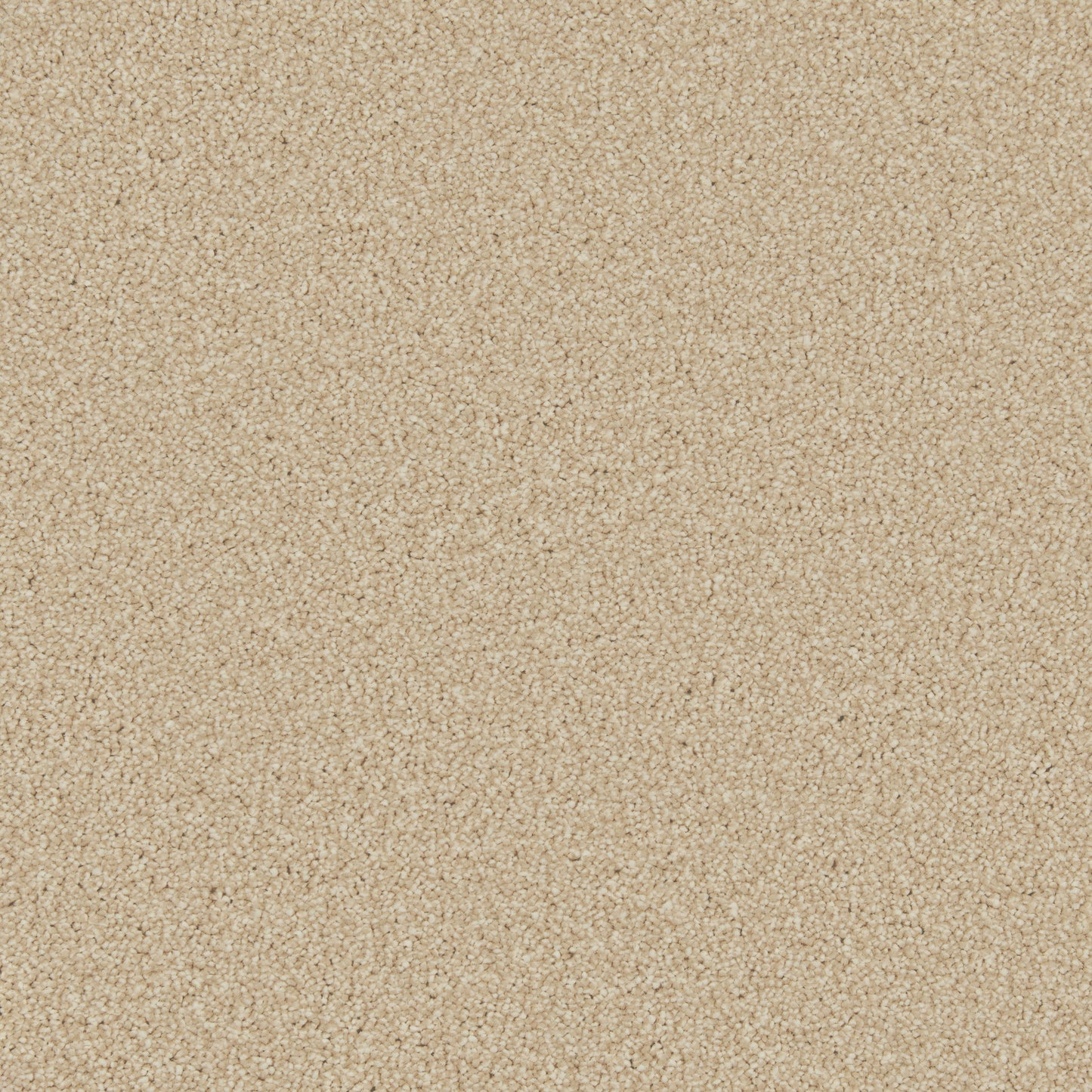 Cormar Zenith Carpet