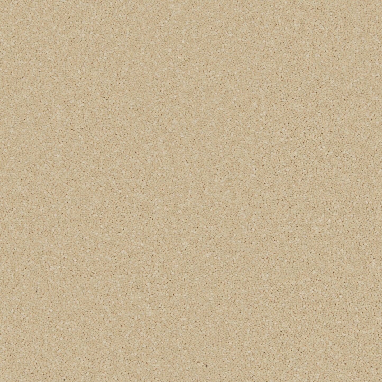 Cormar Zenith Carpet