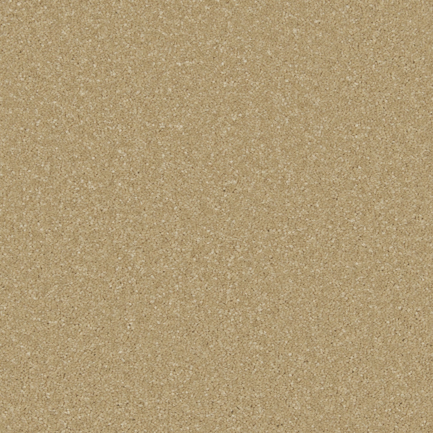 Cormar Zenith Carpet