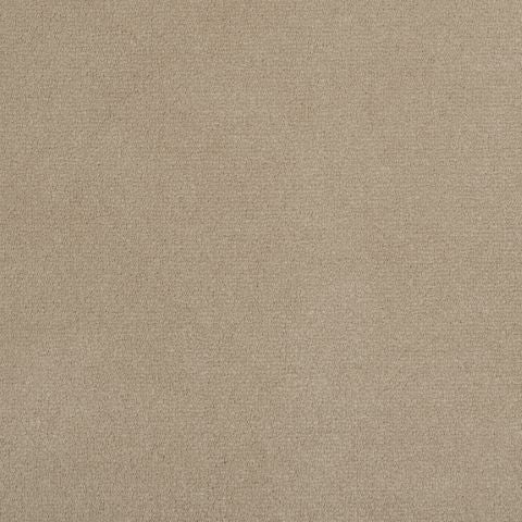 Victoria Velvet Impressions Carpet