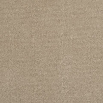 Victoria Velvet Impressions Carpet