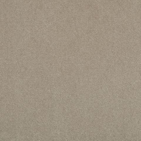 Victoria Velvet Impressions Carpet
