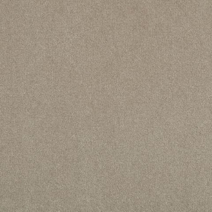 Victoria Velvet Impressions Carpet