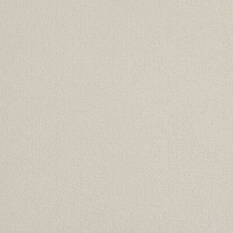 Victoria Velvet Impressions Carpet