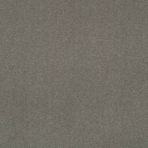 Victoria Velvet Impressions Carpet