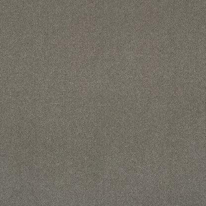 Victoria Velvet Impressions Carpet