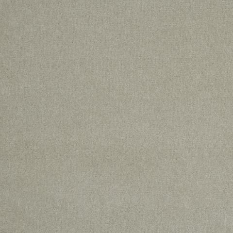 Victoria Velvet Impressions Carpet