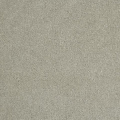 Victoria Velvet Impressions Carpet