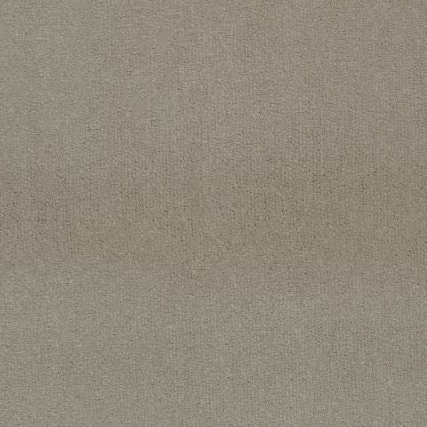 Victoria Velvet Impressions Carpet