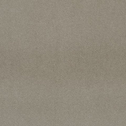 Victoria Velvet Impressions Carpet