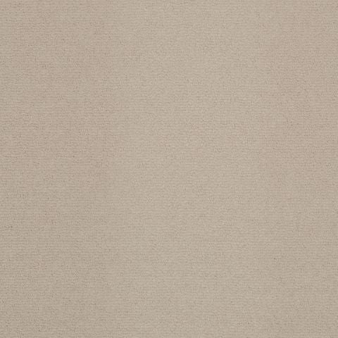 Victoria Velvet Impressions Carpet