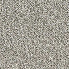 Westex Elysian Velvet